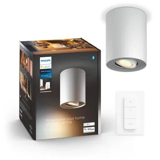 Philips Pillar 1er Spot (inkl. GU10) weiß