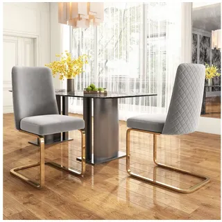 Flieks Freischwinger (Set, 2 St), 2er Set Esszimmerstühle Polsterstuhl Schwingstühle Samt, Metallbeine grau 45 cm x 88 cm x 52 cm
