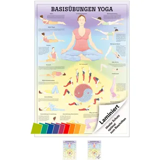 Ruediger Anatomie MIPO76LAM Basisübungen Yoga Tafel, 24 cm x 34 cm, laminiert