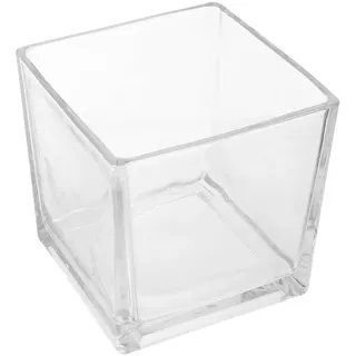 HYTROVE Vase Rechteckig aus Glas Quadratische Blumenvase für Hydrokultur Transparent Robust Tischdeko für Schreibtisch und Esszimmer