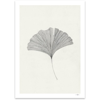 The Poster Club - Ginkgo Leaf von Ana Frois, 30 x 40 cm