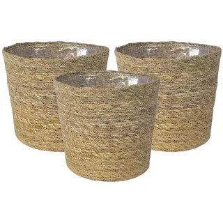 Green Me Up Seegras Korb - Geflochtener Pflanzkorb aus Seegras mit Folieneinsatz - Boho Blumentopf für Zimmerpflanzen & Kräuter - 3er Set Ø 14 cm - passend für 10-12 cm Pflanztöpfe