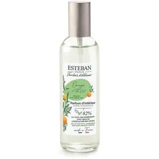 Esteban - Raumspray Duftspray – Raumduft - 100 ml, Lufterfrischer Spray für Wohnung & WC, Room Spray mit Bio-Alkohol - langanhaltende Frische - Recycelbares Glas - Orange and Green Tea