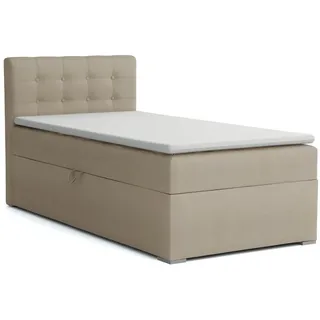 Deine Möbel 24 Boxspringbett JUNG 3 Polsterbett Jungendbett inkl. Matratzen H3 / H4 inkl. Topper (Boxbett für Jugendliche Grau Beige Hellgrau Dunkegrau Anthrazit Schwarz, 3-St., Bonellfederkernmatratze H3 Taschenfederkernmatratze H4), 90x200 100x200 Veloursstoff Einzelbett Boxspring Hotelbett beige|goldfarben