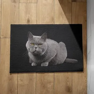 Isdreem Schmutzfangmatte Niedrig Fussmatte Nach Maß Katze Schmutzfangmatte Eingangsbereich Fussmatte Aussen Lustig Schmal, 40x60cm