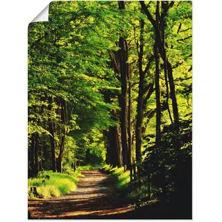 Wandbild ARTLAND "Weg im Wald", grün (farbe bild(er): grün), B:60cm H:80cm, Bilder, als Leinwandbild, Poster in verschied. Größen