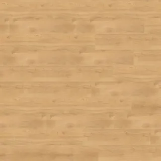 Wineo 1200 wood XL | Let's go Max