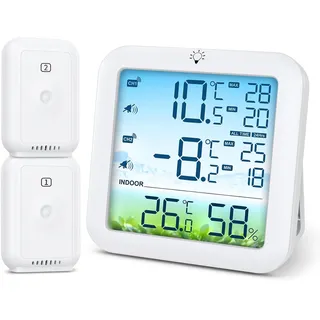 Brifit Thermometer 2 Sensoren grau