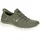 Olive 42