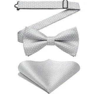 Fliege Herren Vorgebunden Hochzeit Anzug Einstecktuch Set Grau