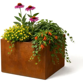 Czaja Cortenstahl Pflanzkübel 60x60x40 cm Fiorella - Made in Germany - Rost Deko Blumenkübel quadratisch – wetterfest & langlebig – Garten Terrasse Balkon – Edelrost Pflanzgefäß