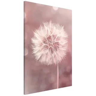 Bilderdepot24 Magnettafel Küche rosa Pusteblume Bokeh rosa, (1-tlg., Magnetboard Pinnwand für die Wand - metallische Tafel für Magnete), Magnetwand groß mit Motiv Büro Memoboard magnetisch rosa 40 cm x 60 cm