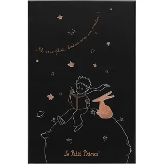 Moleskine Notizbuch Der kleine Prinz Hardcover Large Liniert