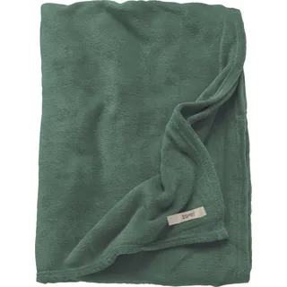 Esprit Wohndecke Esprit, in modernen Farben, Kuscheldecke grün