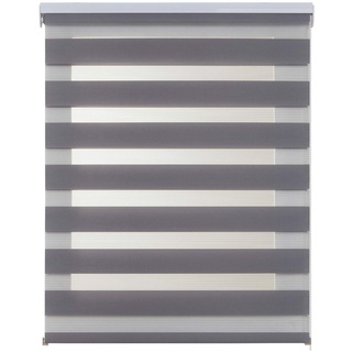 STORESDECO Doppelrollo, Duo Rollo für Fenster und Türen, Zebra Rollo Lichtdurchlässig und verdunkelnd | Silber, 140 cm x 250 cm