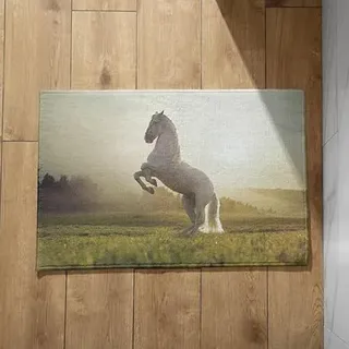 Isdreem Schmutzfangmatte Für Aussen Schmale Fussmatte Innen Pferd Fußmatte Außen Personalisiert Familie Eingangstürmatte, 40x60cm