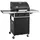 2 Gasgrill