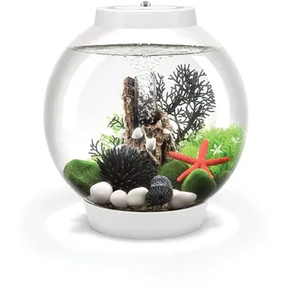 biOrb CLASSIC 15 MCR Aquarium 15 l mit patentiertem Filtersystem weiß
