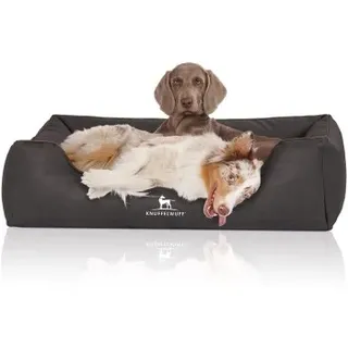 Knuffelwuff Hundebett Scottsdale XXL 120 x 85 cm schwarz
