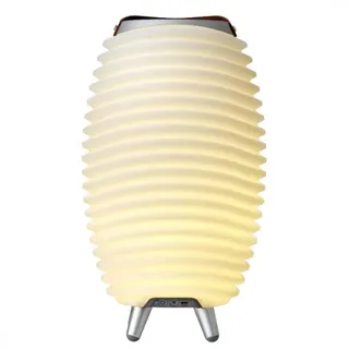 LED lamp with speaker and cooler Synergy 35 white Kooduu