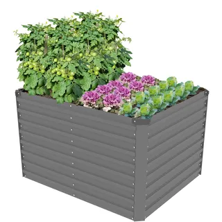 Konifera Emmy 100 x 60 x 80 cm Grau