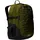 Forest Olive/TNF Black