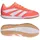 Sala Signal Coral/Cloud White/Beam Orange 31