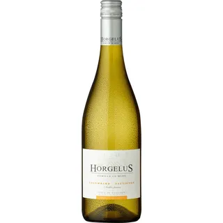 Horgelus Blanc Côtes de Gascogne IGP 2024 0,75 l