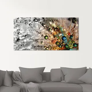 ARTland Wanddeko Glasbilder Wandbild Glas Bild einteilig 100x50 cm Querformat Natur Botanik Blumen Pusteblume Frühling Wassertropfen Modern T9IN