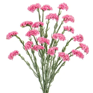 Oairse 5er-Set Kunstblumen Statice-Blume Kunstblumen Wie Echt Frühling Dekoblume für Hochzeitszimmer Home Decor Wohnzimmer Büro Hotel Küche Decor, Künstliche Zweige 95cm, Rosa