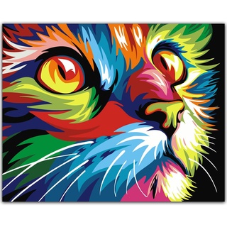 Heimstory ®, Malen nach Zahlen Erwachsene mit Rahmen, Katze, Tiere, bunte Acrylfarben, mit Leinwand, Pinsel