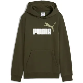 Puma ESS 2 Color No. 1 Logo FL Jungen Kapuzensweater, grün - dark olive 140