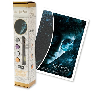 DIAMANTINY Harry Potter – Wizarding Art Medium Der Prinz Halbblut – Kit für Mosaik, Crystal Art, Diamond Painting, 1 Leinwand 30 x 40 cm, Multicolor, 21062