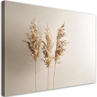 LEINWANDBILD Pampasgraspflanzen Natur Beige 60x40cm