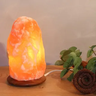 Wagner Life Design Rock Orange