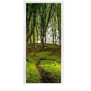 MuchoWow Türtapete Wald - Weg - Grün, Matt, bedruckt, (1 St), Türfolie Selbstklebend, Türtapete, Türdeko Poster, 95x235 cm grün 95 m x 235 m