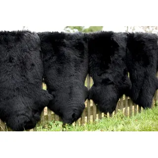 Hollert Lammfell Merino Schwarz Schaffell Läufer Teppich Echtfell waschbar Sitzunterlage Größe 100-110