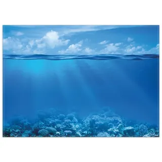 Wallario Teppich Unterwasserwelt Meer, rechteckig, rutschfest blau 50 cm x 70 cm