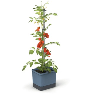 Gusta Garden Tom Tomato Draußen Topfpflanzer Freistehend Polypropylen (PP), Aluminium Blau