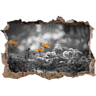 Pixxprint 3D_WD_5003_92x62 Wunderschöne Gartenblumen auf Blumenwiese Wanddurchbruch 3D Wandtattoo, Vinyl, schwarz / weiß, 92 x 62 x 0,02 cm