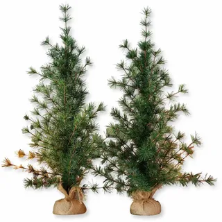 Loberon Deko-Baum 2er Set Bohicon - Weihnachtsbaum - Schmuckbaum Winter - Immergrüne Weihnachtsdeko - 70 cm, grün/braun