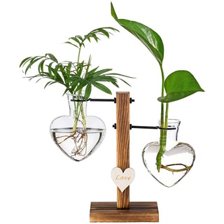 Hydroponik Vase, Hängende Glas Pflanzer, Deko Vase mit Holz Halter, Glasvase, Hängevase Glasvase, Wird für Den Hydroponischen Pflanzenanbau, Büro Dekoration Verwendet