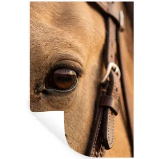 MuchoWow Wandsticker Pferd - Auge - Braun (1 St), Wandtattoo, Selbstklebend, Wohnzimmer, 40x60 cm braun 40 cm x 60 cm x 0.1 cm