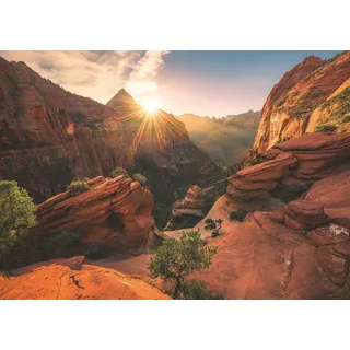 Ravensburger Nature Edition Zion Canyon 1000 Teile
