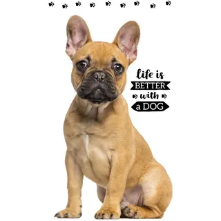 Bulldogge Handtuch 30x50 Gästehandtuch klein Waschlappen Kinderhandtuch Hunde