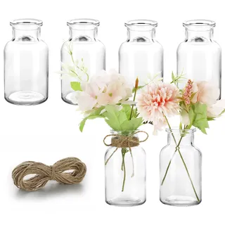 Lannvan Kleine Glasvasen - 6er Set Kleine Vasen für Tischdeko Hochzeit - Deko Vasen Set mit 8m Juteschnur - Mini Glasvasen für Tischdeko - Spülmaschinenfest -10.5cm Hoch