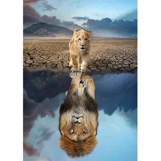 MEIYUDA Diamond Painting für Erwachsene, Reflexion des Löwen, Diamantmalerei für Kinder, Strass, Kreuzstich, Kristall, für Wand, Dekoration, 30 x 40 cm