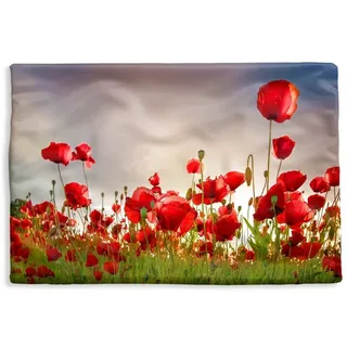 MuchoWow Dekokissen Mohnblumen - Blumen - Sonnenaufgang, Kissenbezug für Sofa, Dekorationkissen, Kissenhüllen, 60x40 cm bunt 60 cm x 15 cm x 40 cm