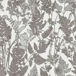 Bricoflor Blumen Tapete Skandinavisch Wohnzimmer und Schlafzimmer Tapete mit Blättermuster in Weiß und Grau Florale Vliestapete mit Farn Design