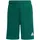 Entrada26 Sport-Shorts Grün 176